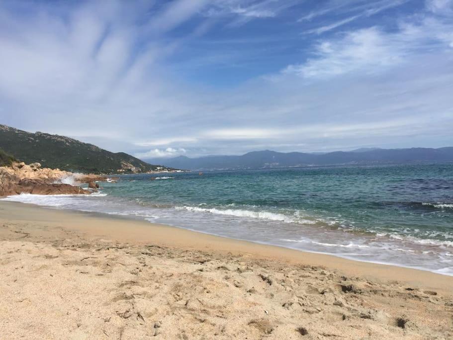 F2 Vue Dans Avec Piscine * Ajaccio (Corsica)