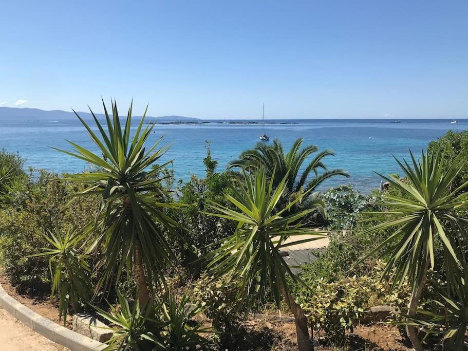 Appartement F2 Vue Dans Avec Piscine