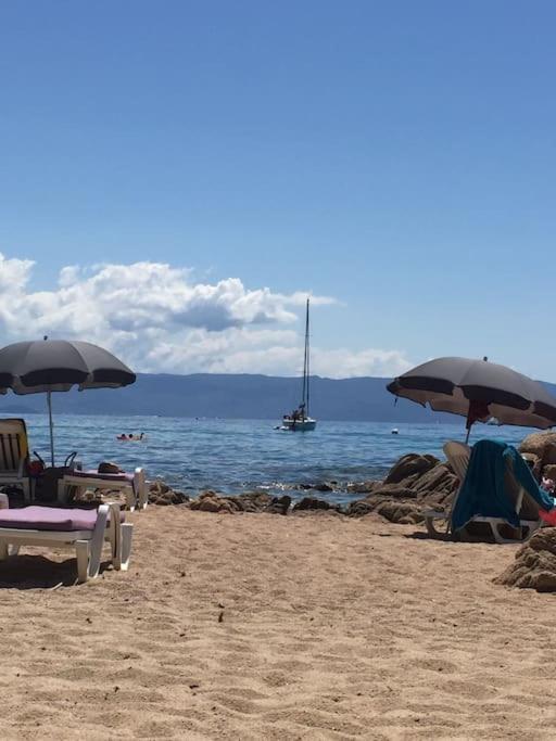 Appartement F2 Vue Dans Avec Piscine Ajaccio (Corsica)
